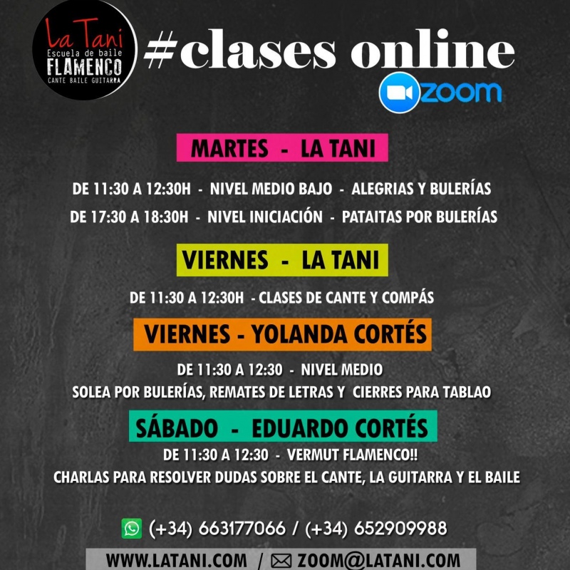Clases de Flamenco: 2 Horas/semana (8 horas/mes)